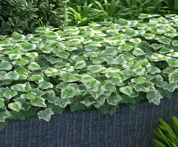 Modern The Grass-ID:185336111