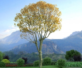 Modern Tree-ID:315231085