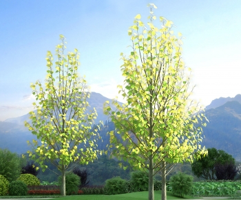 Modern Tree-ID:212008952