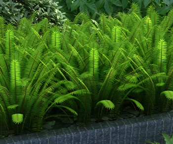 Modern The Grass-ID:304733045