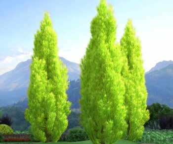 Modern Tree-ID:534076934