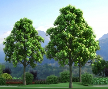Modern Tree-ID:539261107