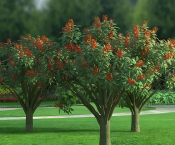 Modern Tree-ID:126315129