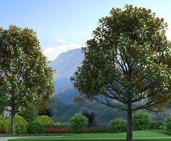 Modern Tree-ID:521091947