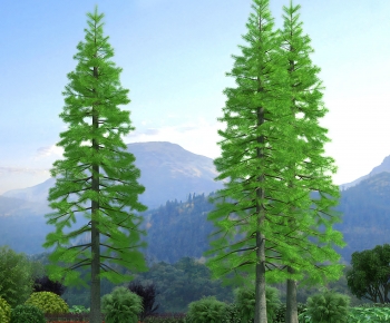 Modern Tree-ID:493338119