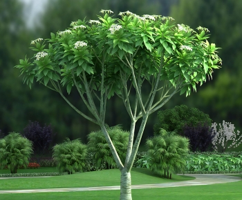 Modern Tree-ID:414210089