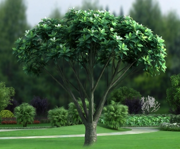 Modern Tree-ID:533488994