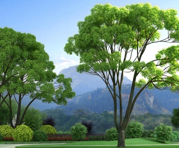 Modern Tree-ID:626898058