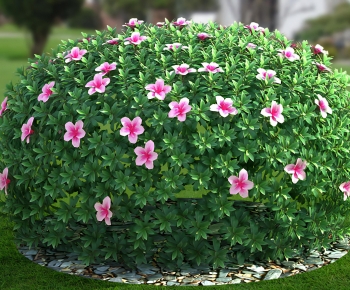 Modern Shrubbery-ID:896890249