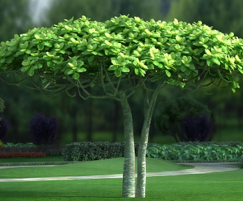 Modern Tree-ID:167552956