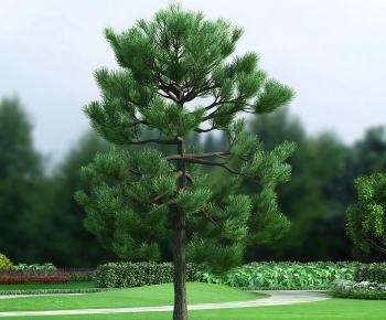 Modern Tree-ID:676399957