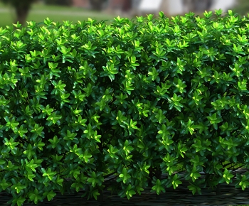 Modern Shrubbery-ID:338661919