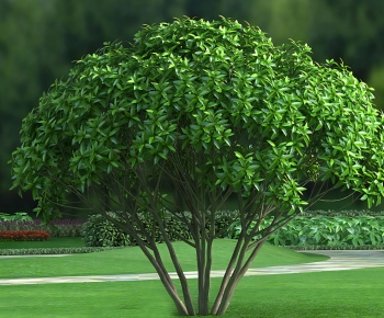 Modern Tree-ID:381011963