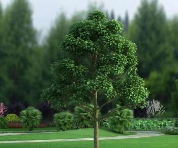 Modern Tree-ID:746841914