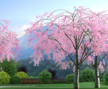 Modern Tree-ID:457922944