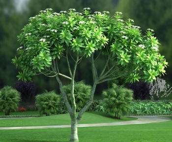 Modern Tree-ID:776662118