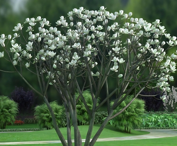 Modern Tree-ID:662024025