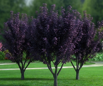 Modern Tree-ID:825390873