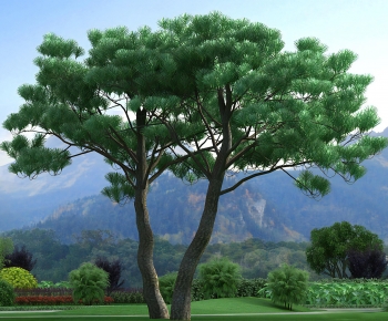 Modern Tree-ID:284584052