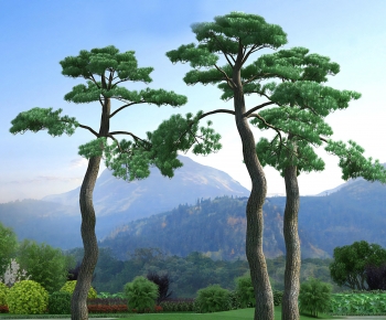 Modern Tree-ID:702971942