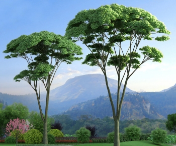 Modern Tree-ID:776163106