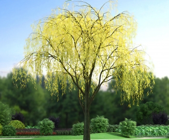 Modern Tree-ID:261260994