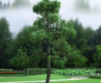 Modern Tree-ID:220573901