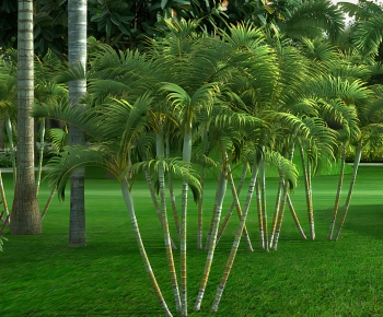 Modern Tree-ID:563979199