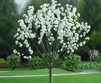 Modern Tree-ID:599086053