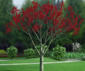 Modern Tree-ID:440298085