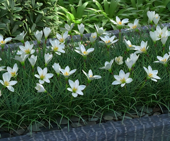 Modern Flowers And Grass-ID:646387103