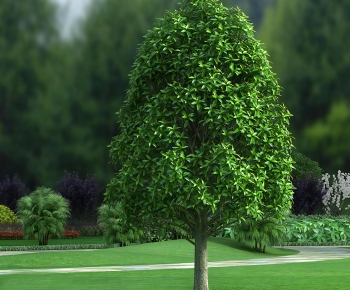 Modern Tree-ID:192832953