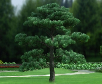 Modern Tree-ID:184432989