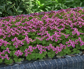 Modern Flowers And Grass-ID:338143112