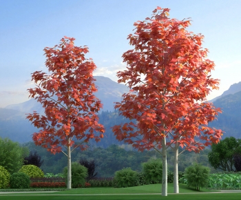 Modern Tree-ID:435040073