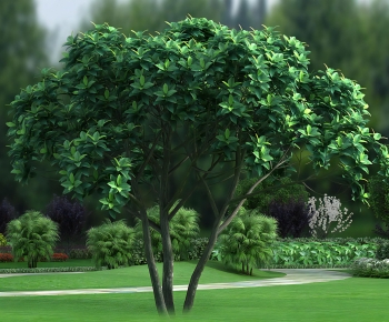 Modern Tree-ID:406179485