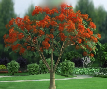 Modern Tree-ID:824383975