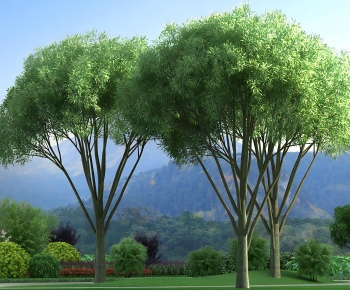 Modern Tree-ID:396924971