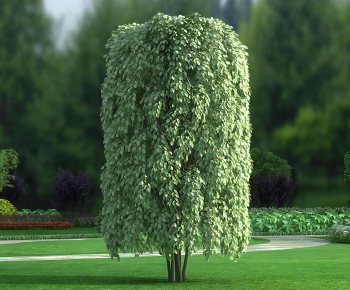 Modern Tree-ID:128139973