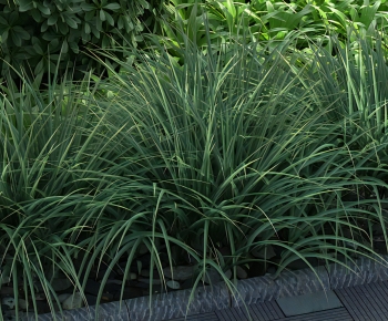 Modern The Grass-ID:124170831