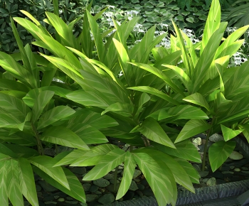 Modern The Grass-ID:106681118