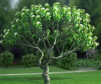 Modern Tree-ID:737354044