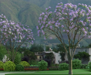 Modern Tree-ID:897617106