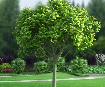 Modern Tree-ID:602623944