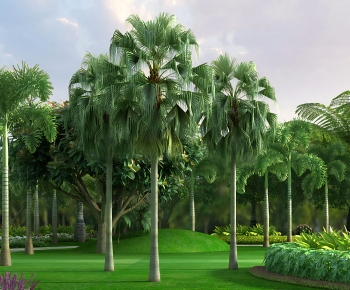 Modern Tree-ID:628365045