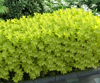 Modern The Grass-ID:969302892