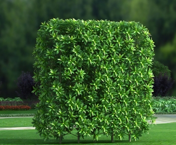 Modern Shrubbery-ID:298665054