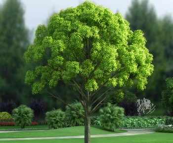 Modern Tree-ID:657205104