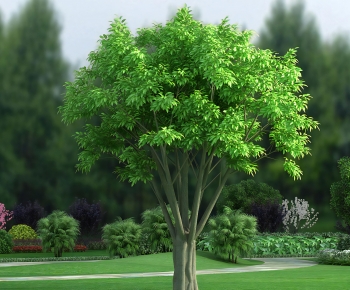 Modern Tree-ID:376168017