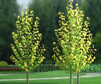 Modern Tree-ID:439766889